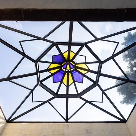 Huerta Icod De Los Vinos