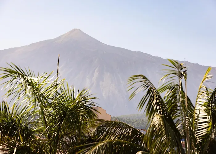 아파트 Huerta 이코드레로스비노스